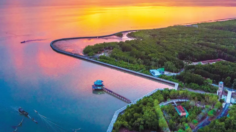 du lich ca mau dat mui cot moc toa do quoc gia rung duoc