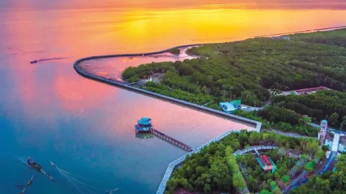 du lich ca mau dat mui cot moc toa do quoc gia rung duoc
