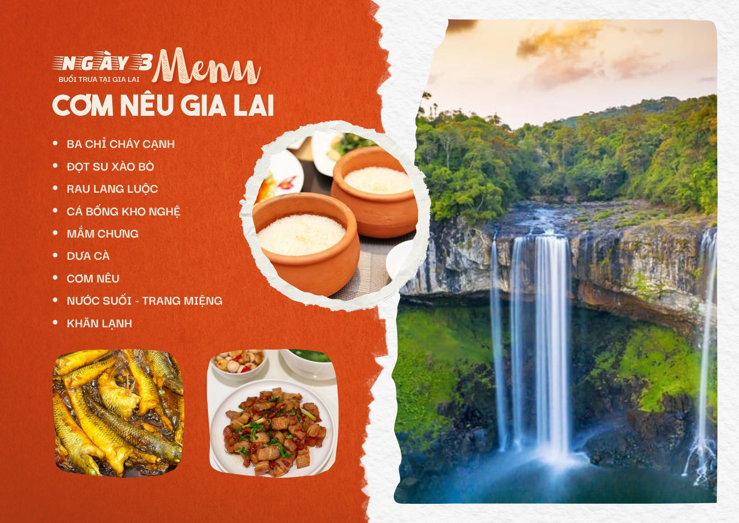 com neu gia lai